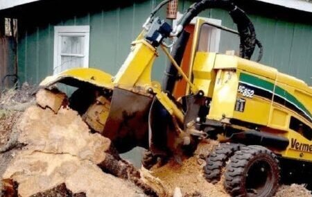 Leander Texas Stump grinding services TX